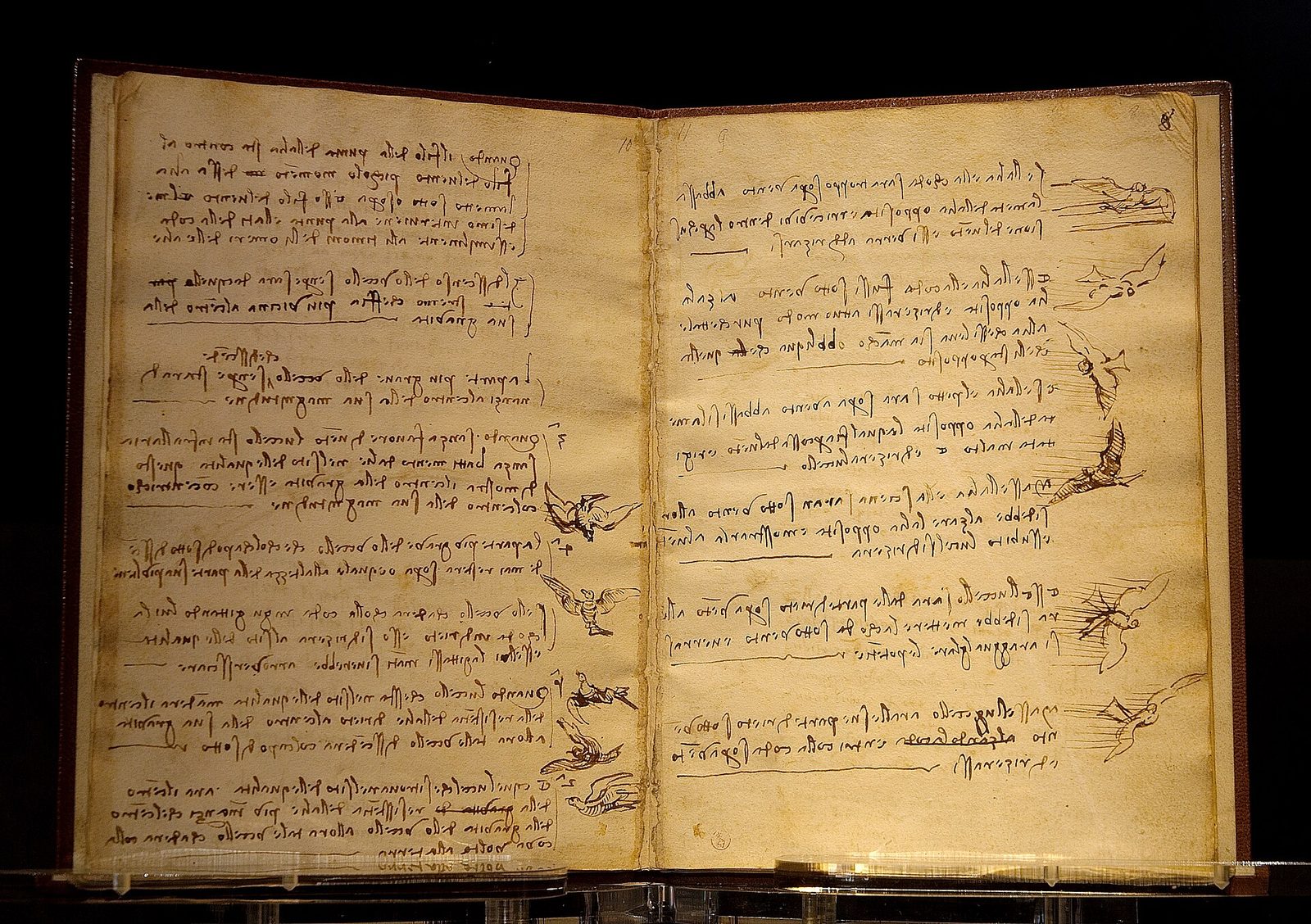Codici — Notebooks
