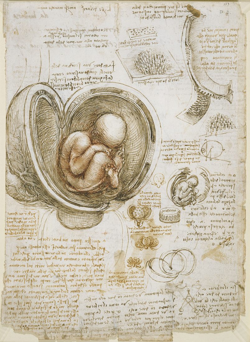 Anatomia — Research