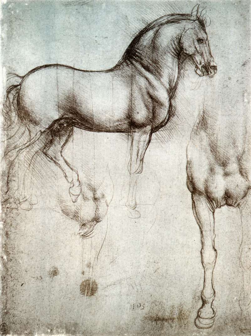 The Sforza horse